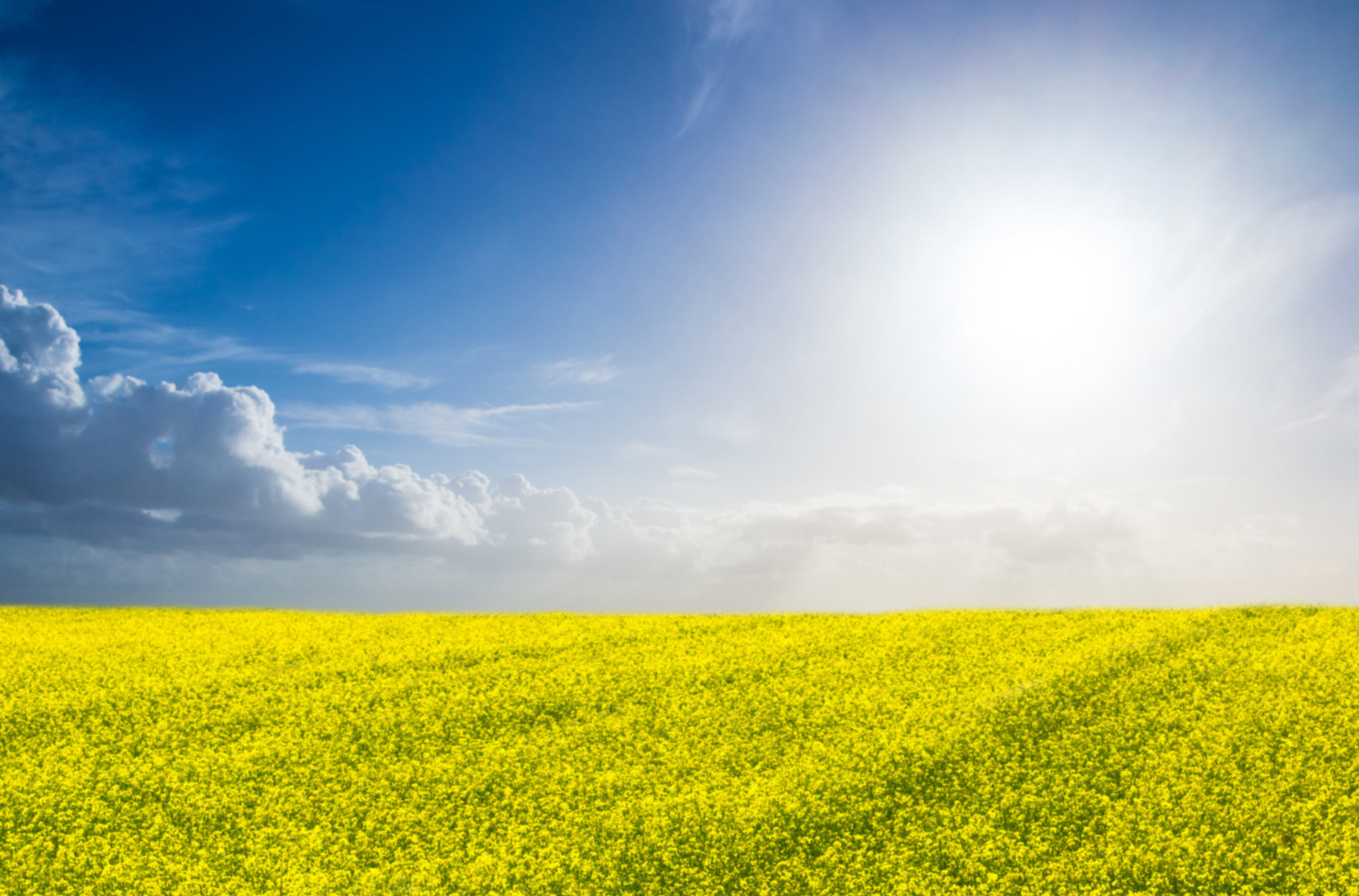 slider-header-1