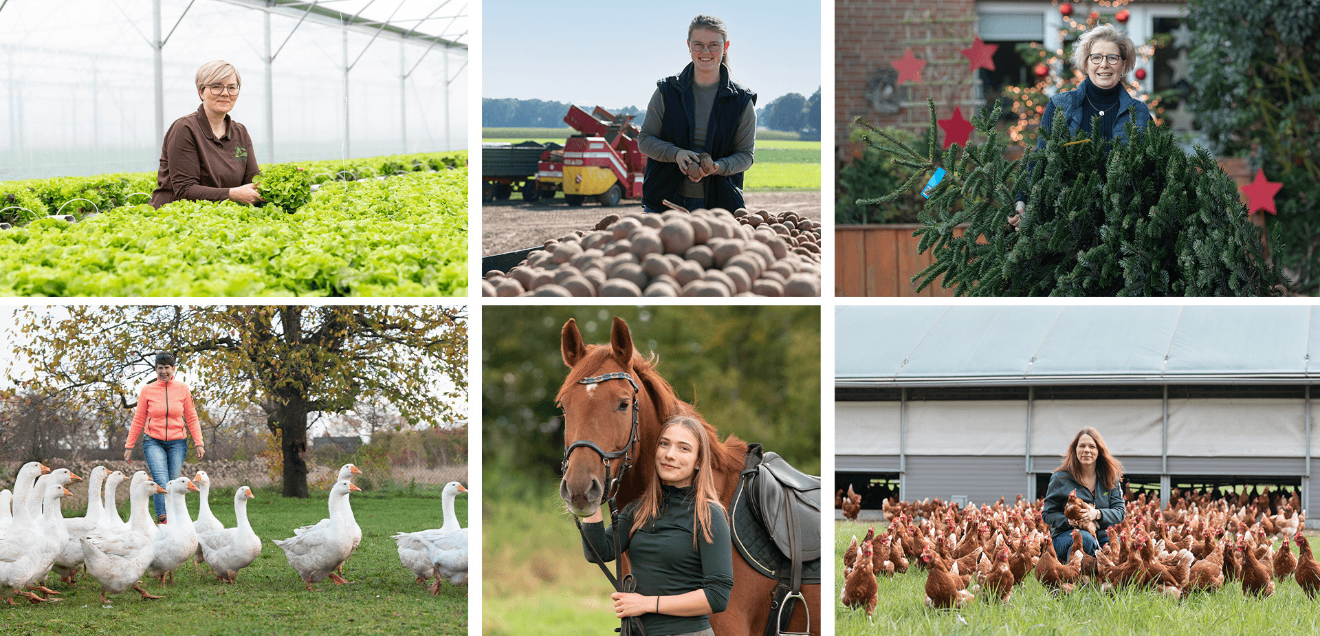 Mitarbeiter von Martens und Pesel werden beim Ausüben von landwirtschaftlichen Berufen oder im landwirtschaftlichen Kontext gezeigt.
