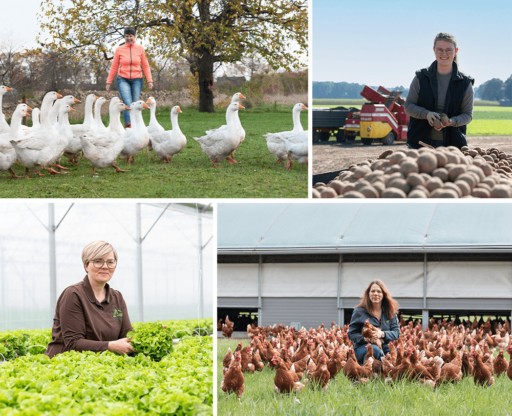 Mitarbeiter von Martens und Pesel werden beim Ausüben von landwirtschaftlichen Berufen oder im landwirtschaftlichen Kontext gezeigt.