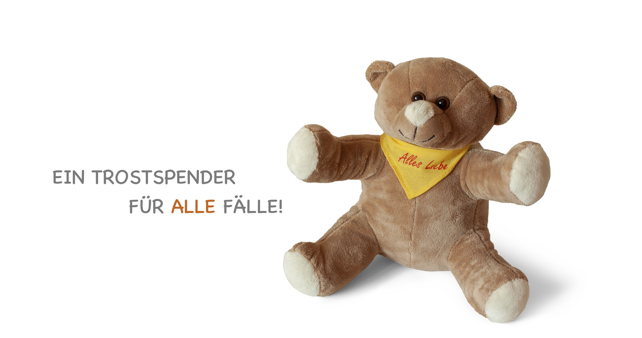 Ein Logo mit Trösterbär Tommy.